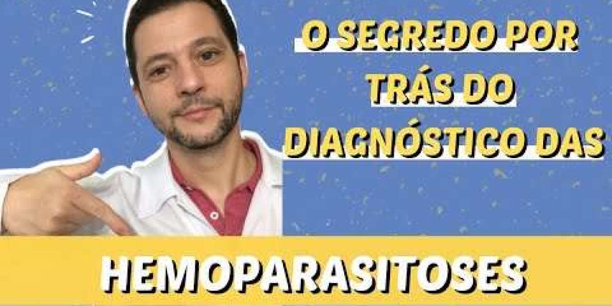 Descubra as Fascinantes Especialidades da Veterinária: Cuidando da Saúde dos Nossos Amigos de Quatro Patas!