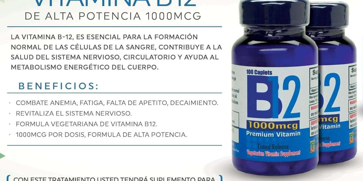 Los 7 principales beneficios para la salud del romero Romero: potencia aromática de la salud