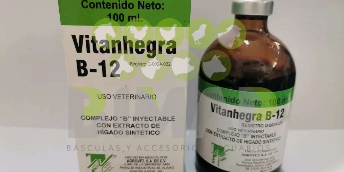 Diferencia entre colágeno y colágeno hidrolizado: ¿Cuál es mejor?