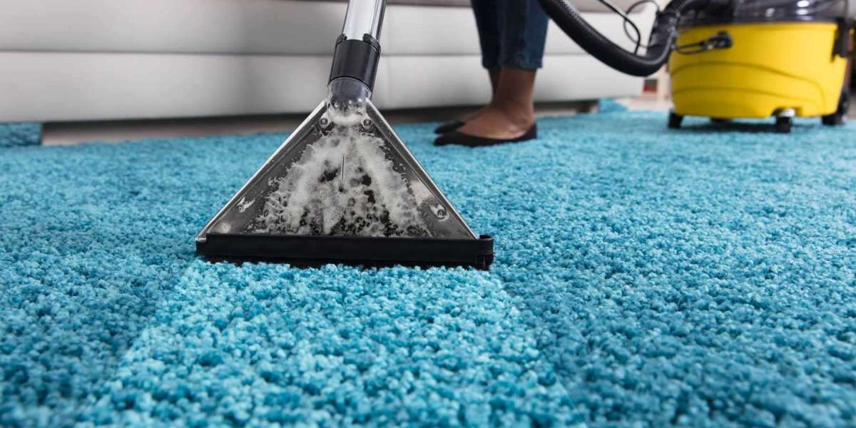 Why Regular Carpet Cleaning Is Key to Home Comfort and Wellness