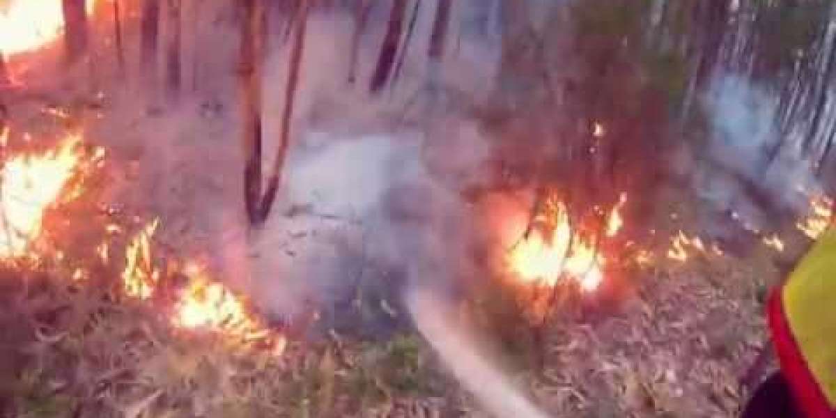 Tudo o que Você Precisa Saber sobre o CLCB do Corpo de Bombeiros: Um Olhar para Iniciantes