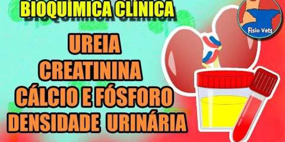 Entenda a Importância do PRÉ 4 FELINO: Avaliando a Saúde Renal dos Seus Gatos